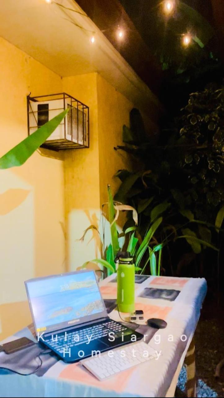 Ameeza Houze Homestay - Siargao General Luna  Exteriér fotografie