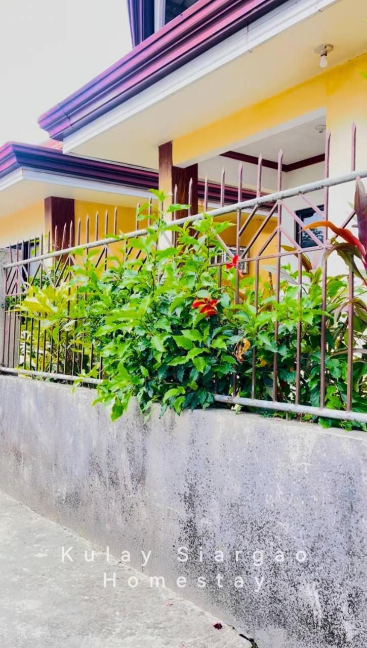 Ameeza Houze Homestay - Siargao General Luna  Exteriér fotografie